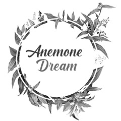 AnemoneDream