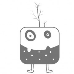Fifi Studio