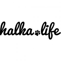 Halkalife