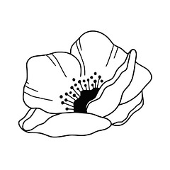 Mavipoppy