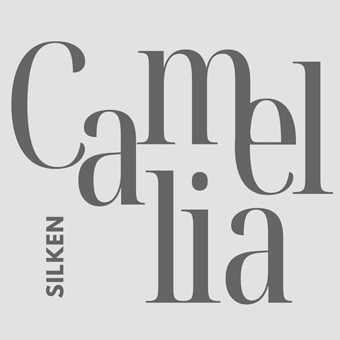 Silken Camellia