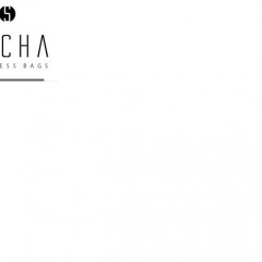 Socha