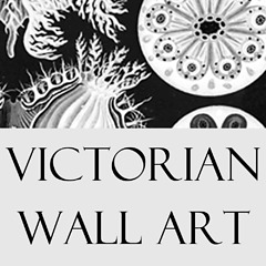 Victorian wall art