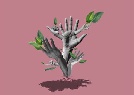 pine-art-sklep.jpg